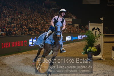 Dansk varmblod hingstekåring.
galashow
