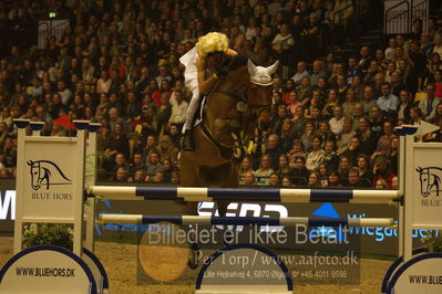 Dansk varmblod hingstekåring.
galashow
