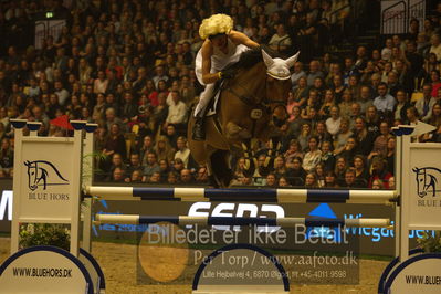 Dansk varmblod hingstekåring.
galashow
