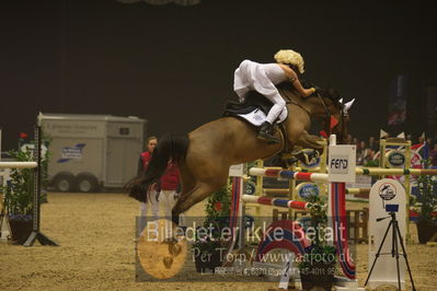Dansk varmblod hingstekåring.
galashow
