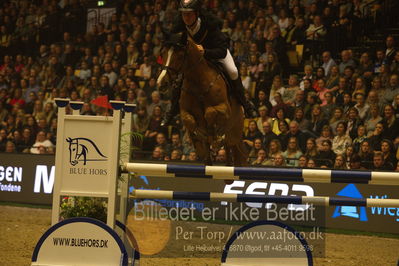 Dansk varmblod hingstekåring.
galashow
