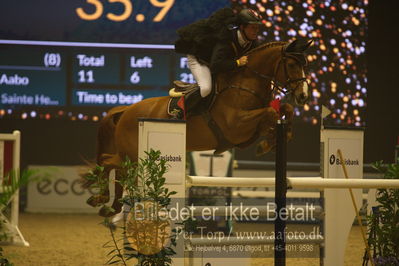 Dansk varmblod hingstekåring.
galashow
