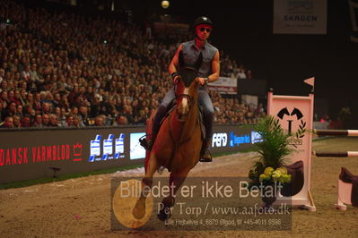 Dansk varmblod hingstekåring.
galashow
