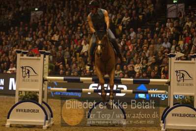 Dansk varmblod hingstekåring.
galashow

