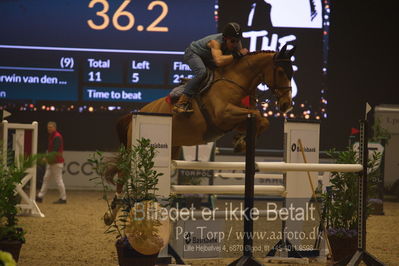 Dansk varmblod hingstekåring.
galashow
