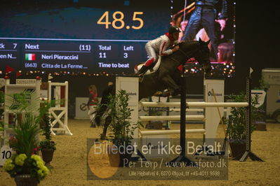 Dansk varmblod hingstekåring.
galashow
