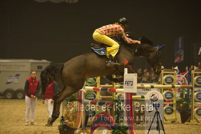 Dansk varmblod hingstekåring.
galashow
