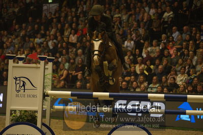 Dansk varmblod hingstekåring.
galashow
