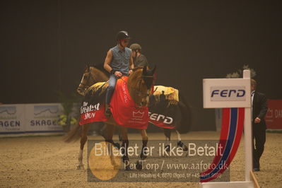 Dansk varmblod hingstekåring.
galashow
