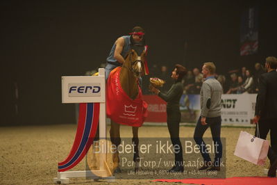 Dansk varmblod hingstekåring.
galashow
