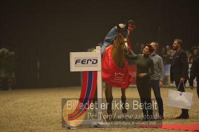 Dansk varmblod hingstekåring.
galashow
