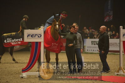 Dansk varmblod hingstekåring.
galashow
