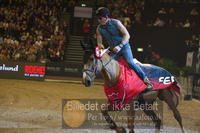 Dansk varmblod hingstekåring.
galashow
