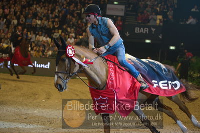 Dansk varmblod hingstekåring.
galashow
