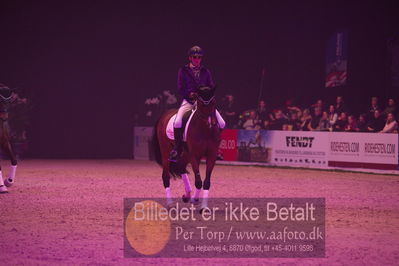 Dansk varmblod hingstekåring.
galashow
