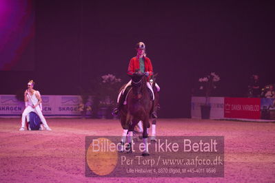 Dansk varmblod hingstekåring.
galashow
