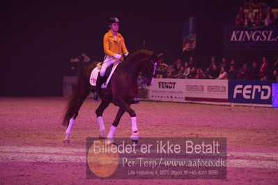 Dansk varmblod hingstekåring.
galashow
