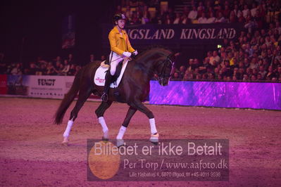 Dansk varmblod hingstekåring.
galashow
