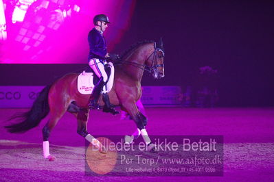 Dansk varmblod hingstekåring.
galashow
