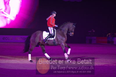 Dansk varmblod hingstekåring.
galashow
