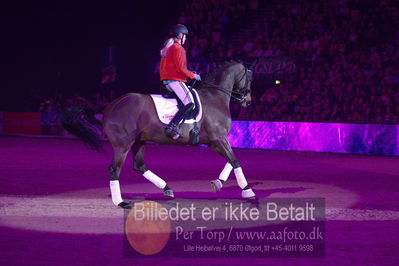 Dansk varmblod hingstekåring.
galashow

