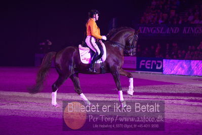 Dansk varmblod hingstekåring.
galashow
