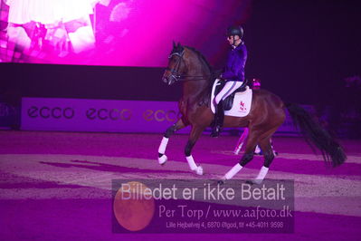 Dansk varmblod hingstekåring.
galashow
