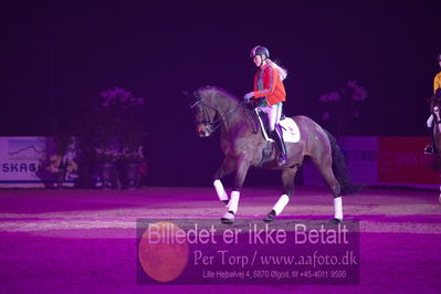 Dansk varmblod hingstekåring.
galashow

