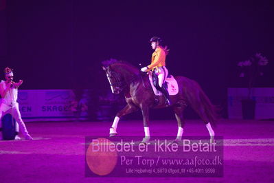 Dansk varmblod hingstekåring.
galashow
