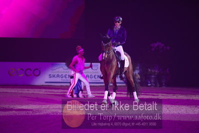 Dansk varmblod hingstekåring.
galashow
