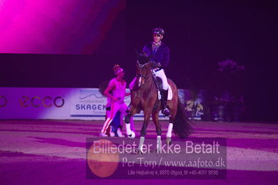 Dansk varmblod hingstekåring.
galashow
