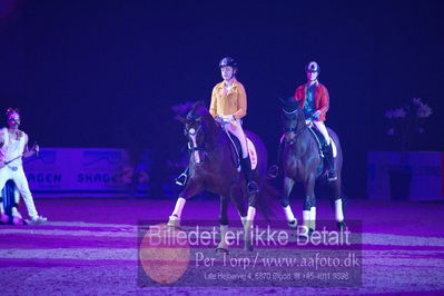 Dansk varmblod hingstekåring.
galashow
