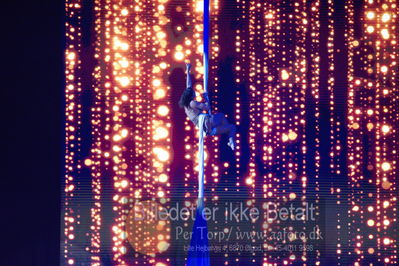 Dansk varmblod hingstekåring.
galashow
