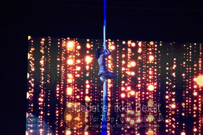 Dansk varmblod hingstekåring.
galashow
