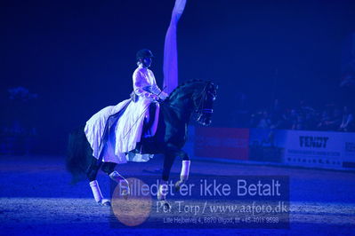 Dansk varmblod hingstekåring.
galashow
