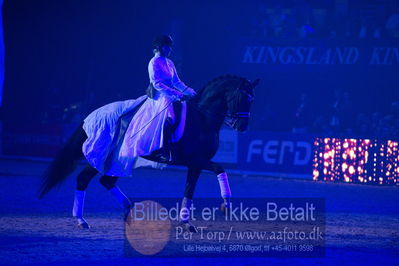 Dansk varmblod hingstekåring.
galashow
