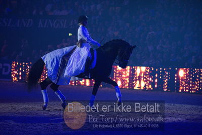 Dansk varmblod hingstekåring.
galashow
