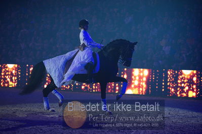 Dansk varmblod hingstekåring.
galashow
