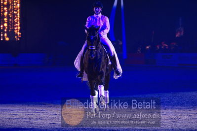 Dansk varmblod hingstekåring.
galashow
