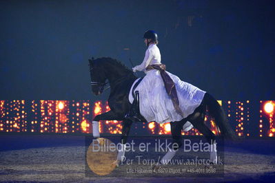 Dansk varmblod hingstekåring.
galashow
