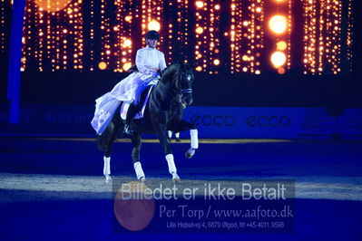 Dansk varmblod hingstekåring.
galashow
