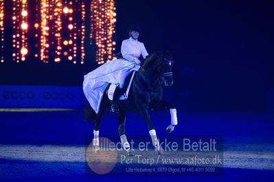 Dansk varmblod hingstekåring.
galashow
