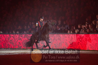 Dansk varmblod hingstekåring.
galashow
