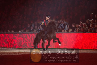 Dansk varmblod hingstekåring.
galashow
