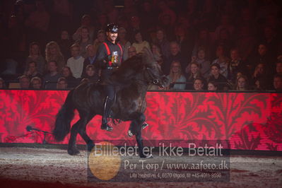 Dansk varmblod hingstekåring.
galashow
