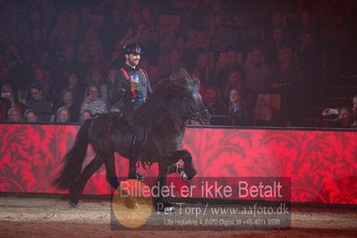 Dansk varmblod hingstekåring.
galashow
