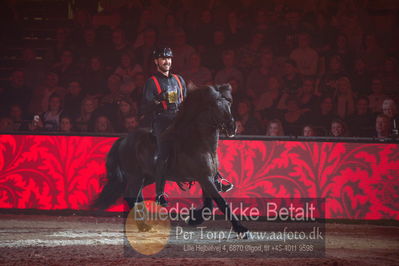 Dansk varmblod hingstekåring.
galashow
