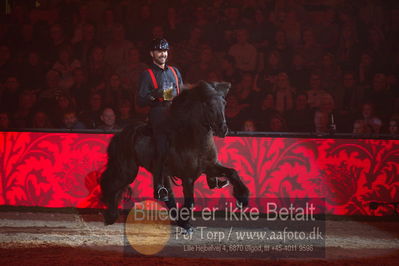 Dansk varmblod hingstekåring.
galashow
