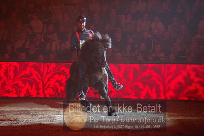 Dansk varmblod hingstekåring.
galashow
