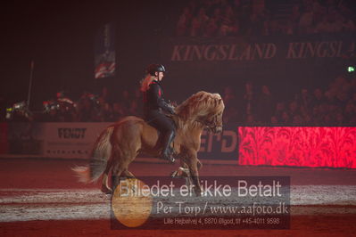 Dansk varmblod hingstekåring.
galashow
